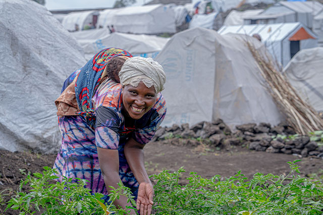 Entrepreneuriat et Autonomisation des Femmes et Filles par l'agriculture et le tissage - Photo 2