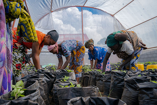 Entrepreneuriat et Autonomisation des Femmes et Filles par l'agriculture et le tissage - Photo 3
