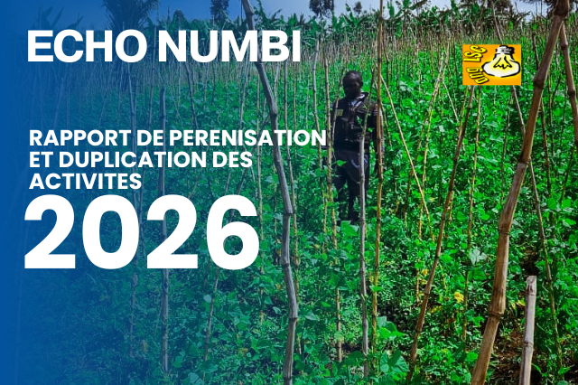 RAPPORT DE RERENISATION  ET DUPLICATION DU PROJET ECHO NUMBI